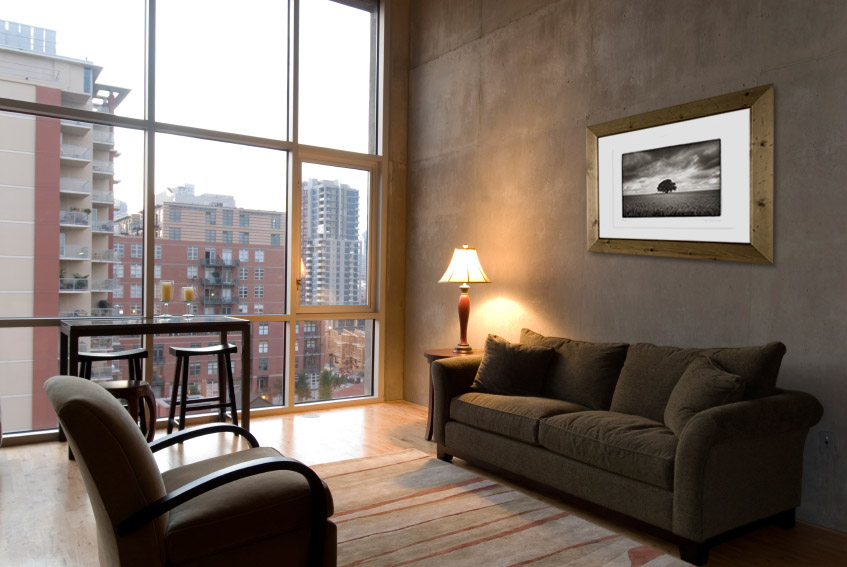 Tree in cornfield framed city lounge view (2)