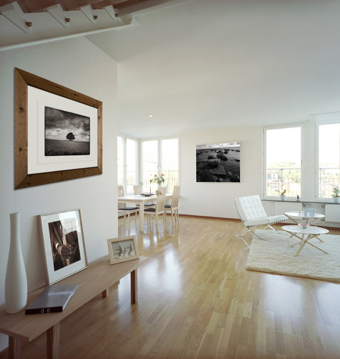 Tree in wheatfield framed scandinavian lounge view Tree in wheatfield framed scandinavian lounge view